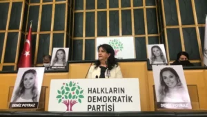 Yek ji Wan Navên ku Di Bîra Civakî de Cih Girtine: Deniz POYRAZ